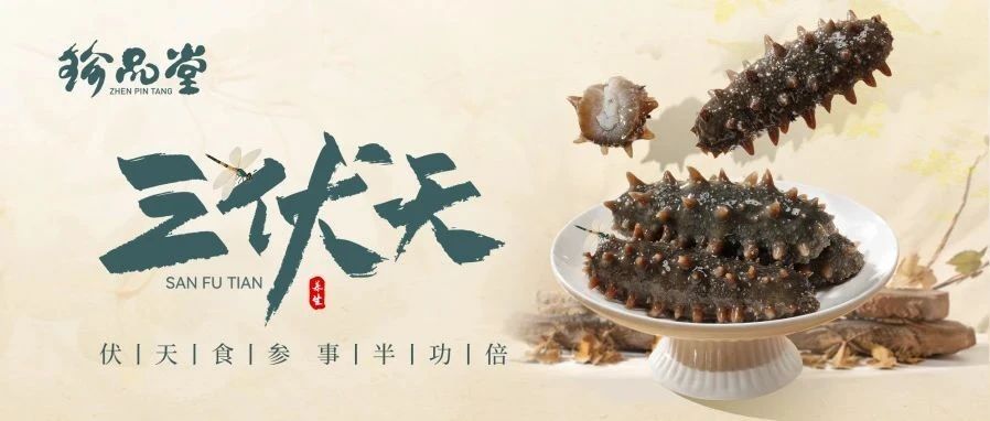 珍品堂丨夏伏食参 能量加倍