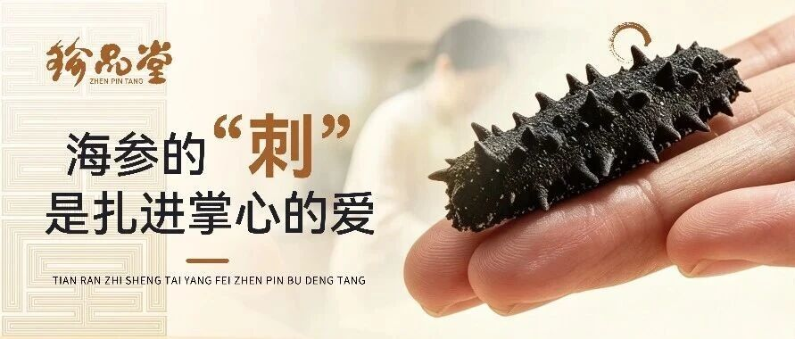 珍品堂丨原来海参的“刺”  是扎进掌心的爱