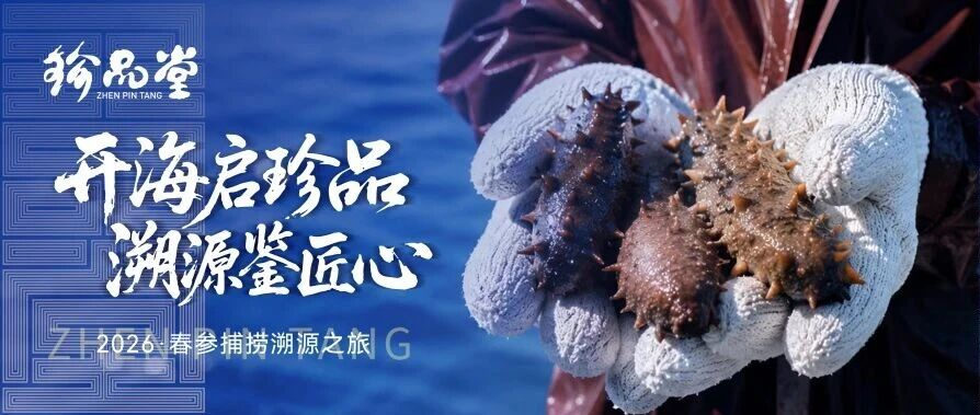 珍品堂丨开海启珍品 溯源鉴匠心
